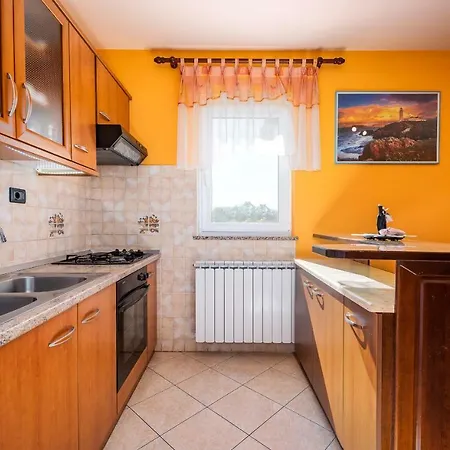 Villa House Semy With Private Pool Pazin